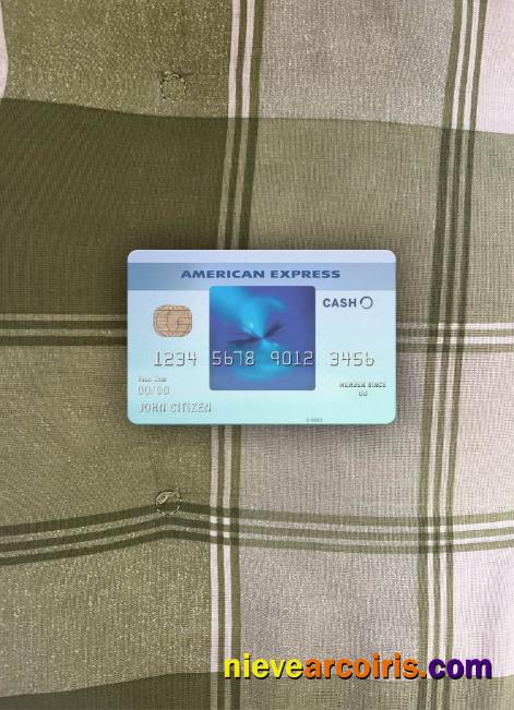 USA California BlueVine bank Blue Cash Everyday® Card from AMEX photolook